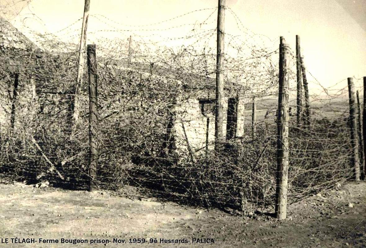 Palica - C- Le Telagh 006.JPG